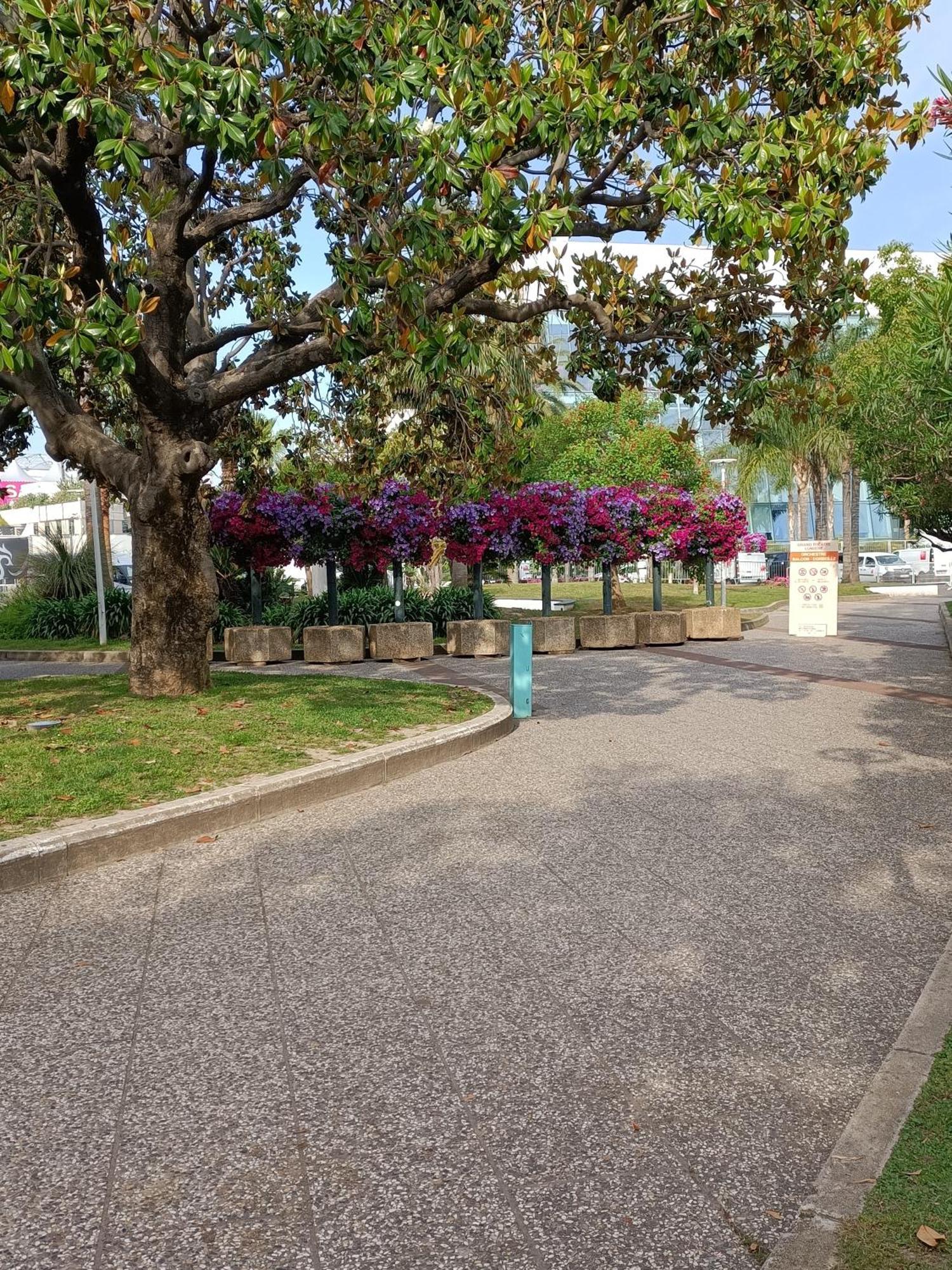 Gallieni Apartment Cannes Exterior foto